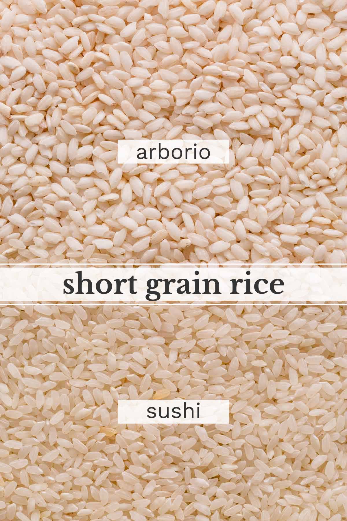 2 types of short grain-rice: arborio and sushi.