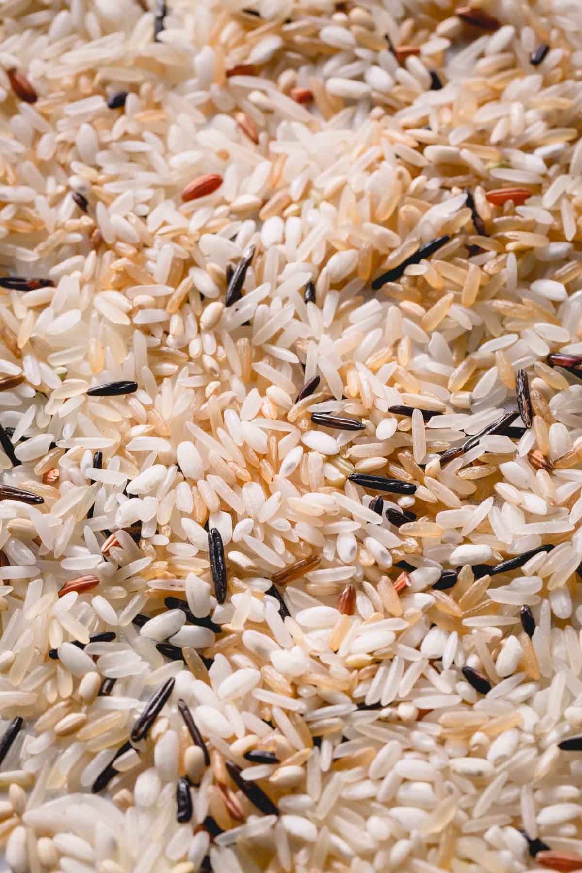A mix of different varities of rice.