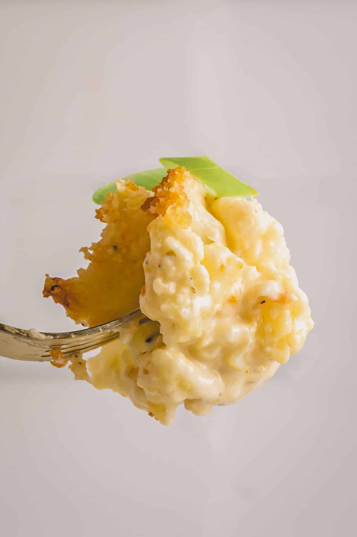 a forkful of cheesy cauliflower.