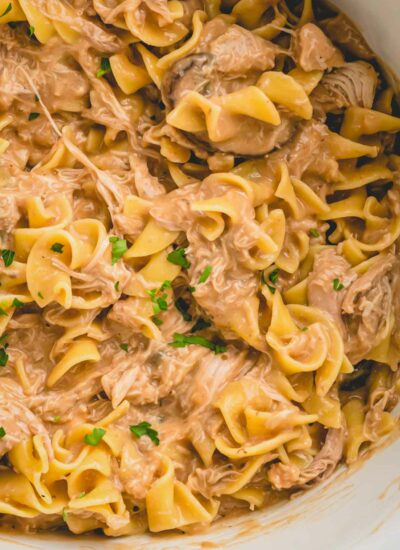 a bowl of beef stroganoff with noodles.