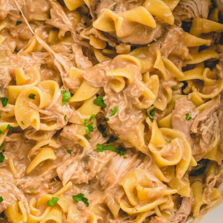 a bowl of beef stroganoff with noodles.