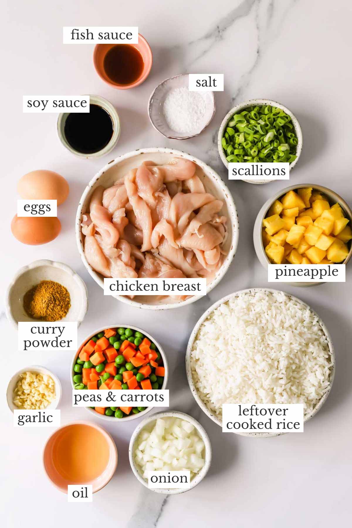Ingredients needed to make homemade chicken pineapple fried rice.