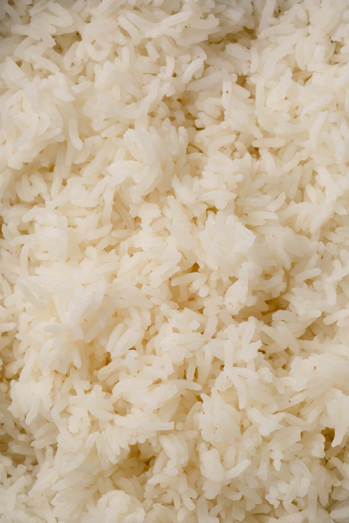 Close up view of cooked white rice.