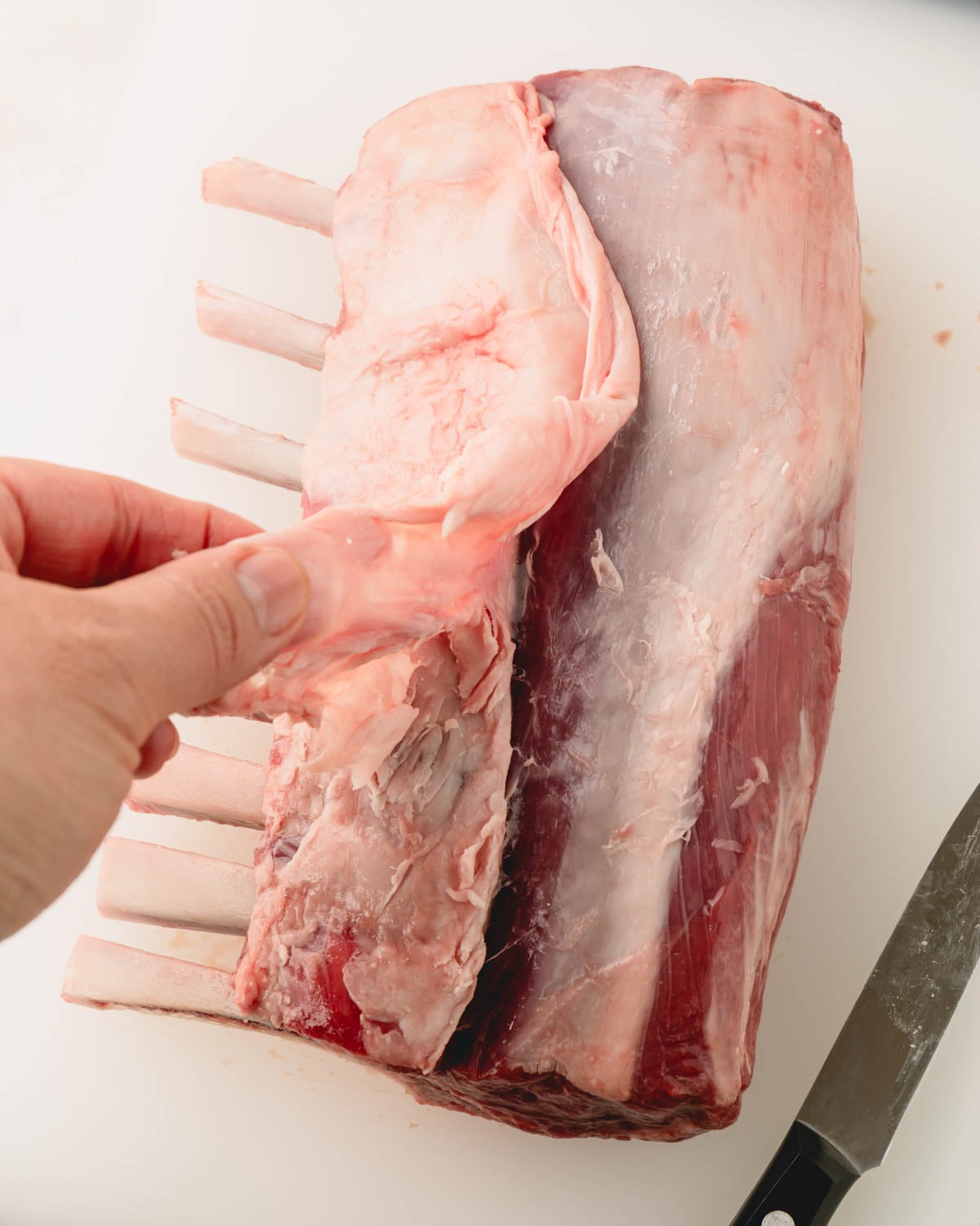 A hand pulling the fat to trim off of a rack of lamb.