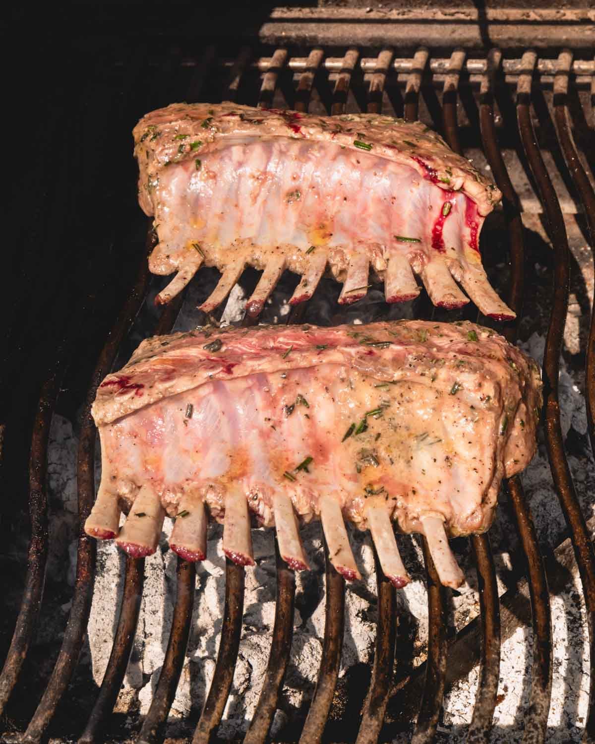Two racks of lamb are grilling fat side down.