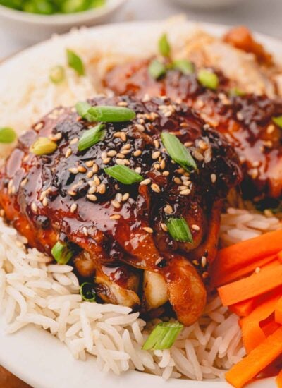 Close up image of Shoyu chicken on rice on a white plate.