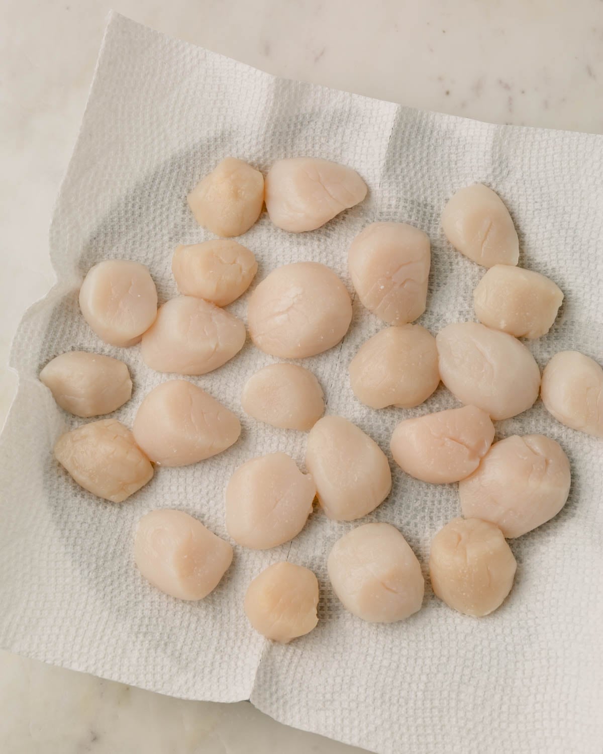 Scallops being patted dry on paper towels on a plate.