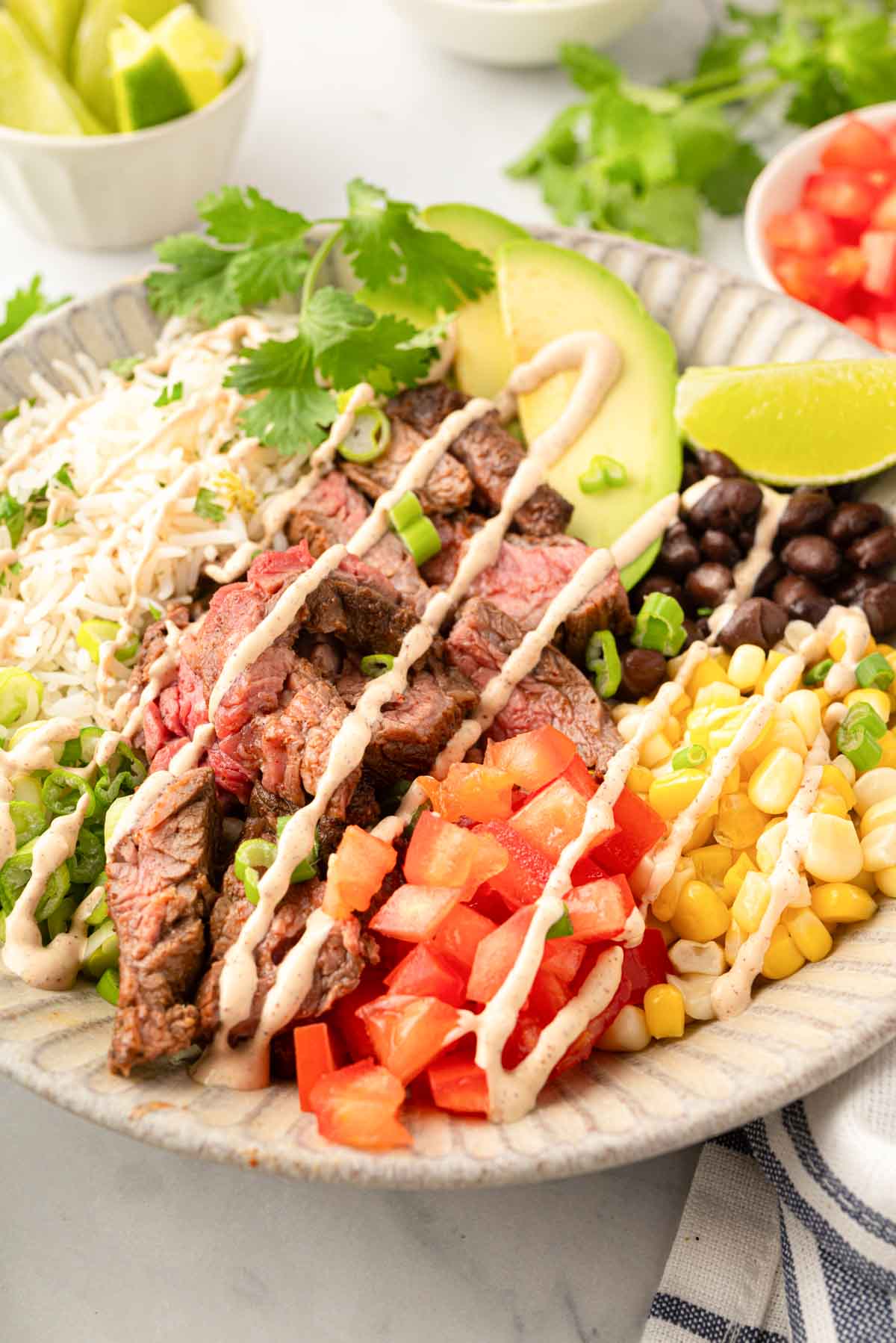 A steak bowl in a white bowl.
